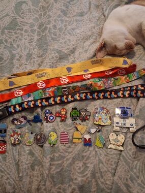 Huge Authentic Disney Pin Lot